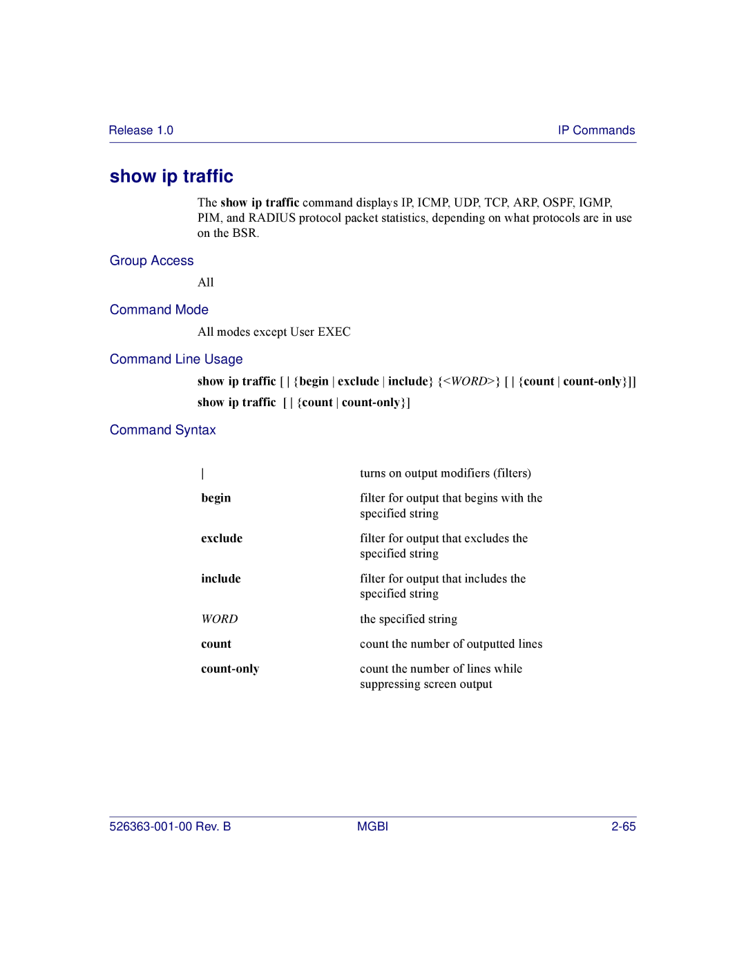 Motorola BSR 2000 manual Show ip traffic 