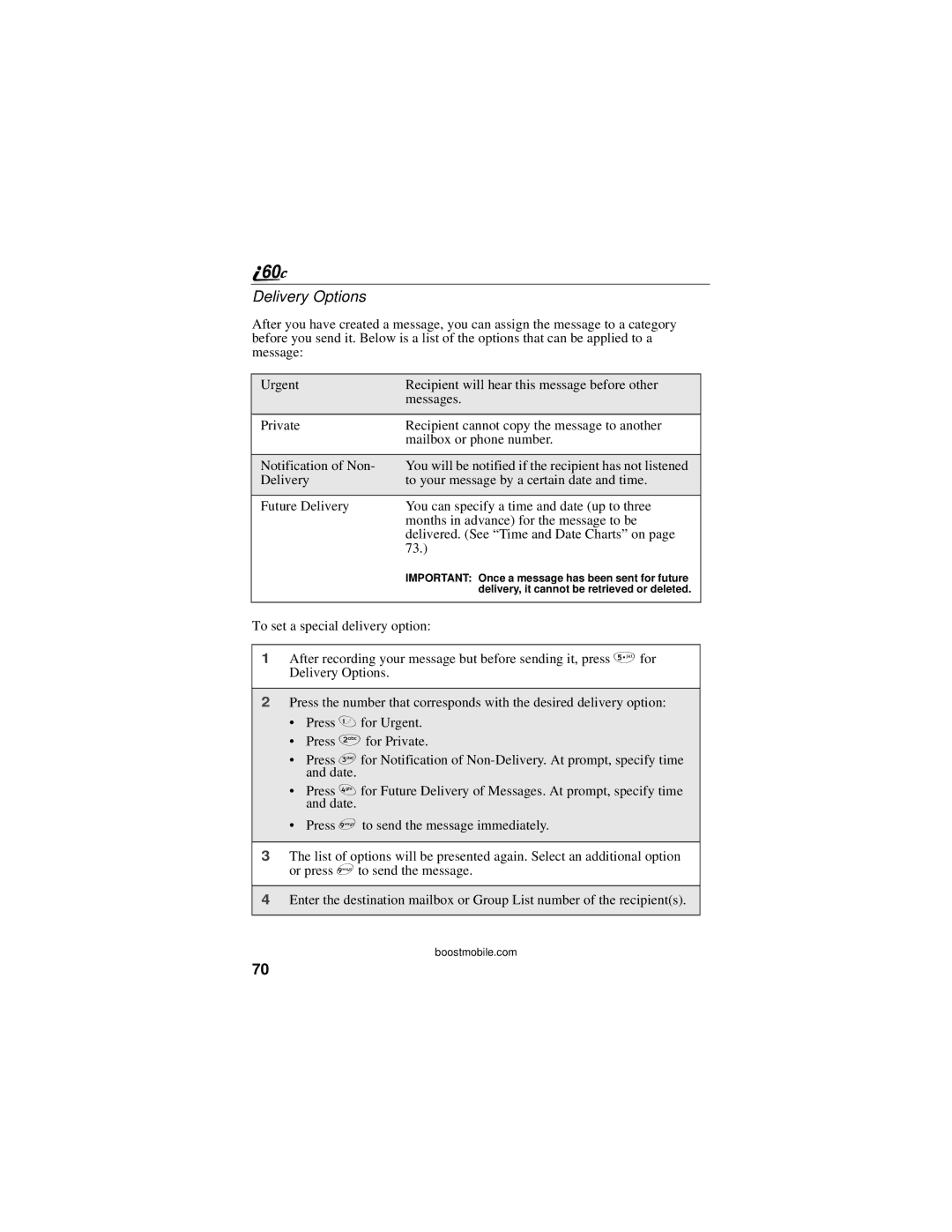 Motorola i60c manual Delivery Options 