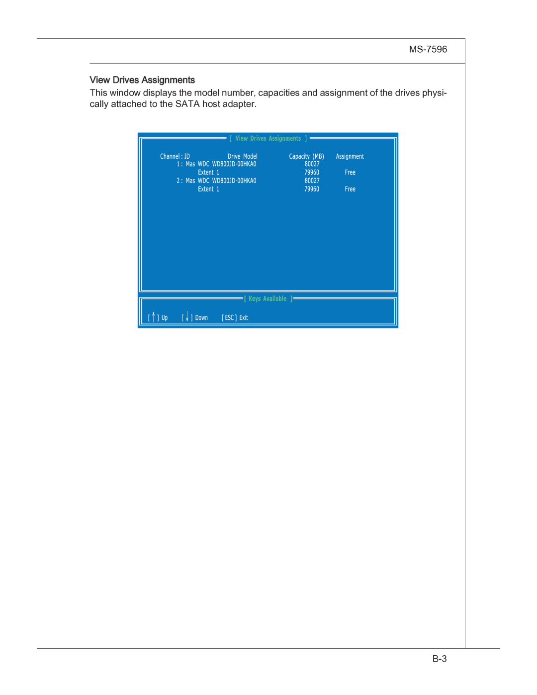 MSI 760GM manual 