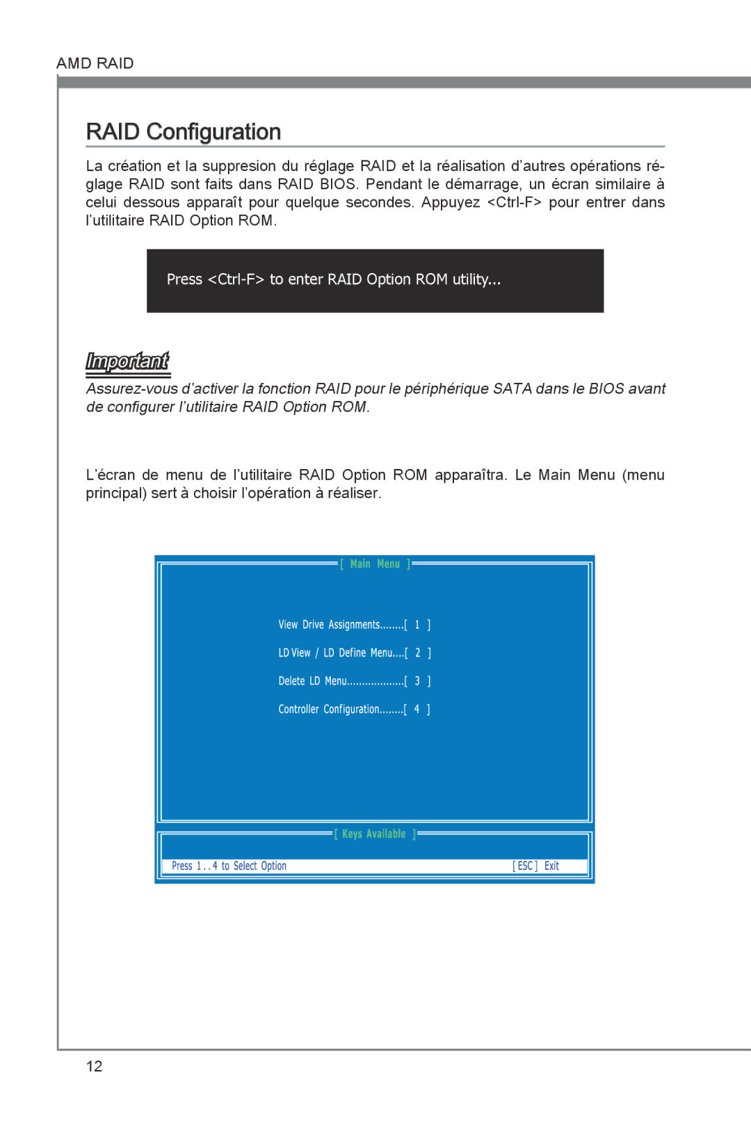 MSI 870A-G54 manual RAID Configuration 