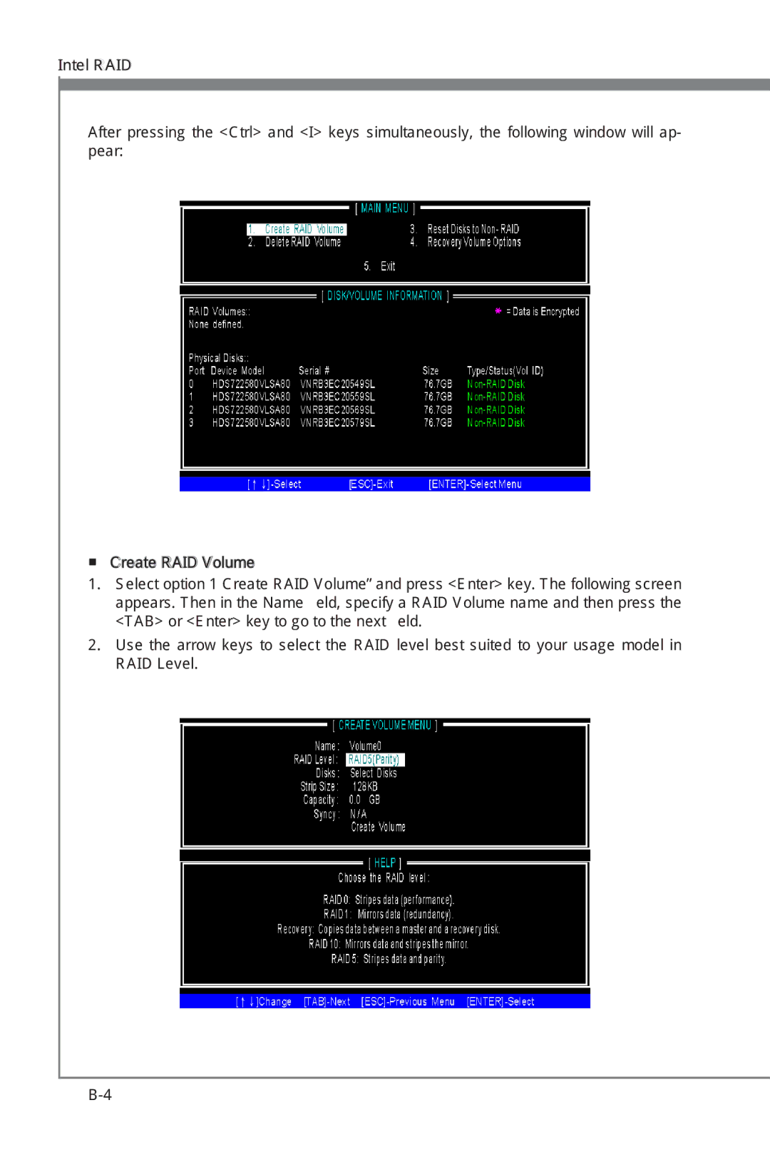 MSI Big Bang-XPower manual 