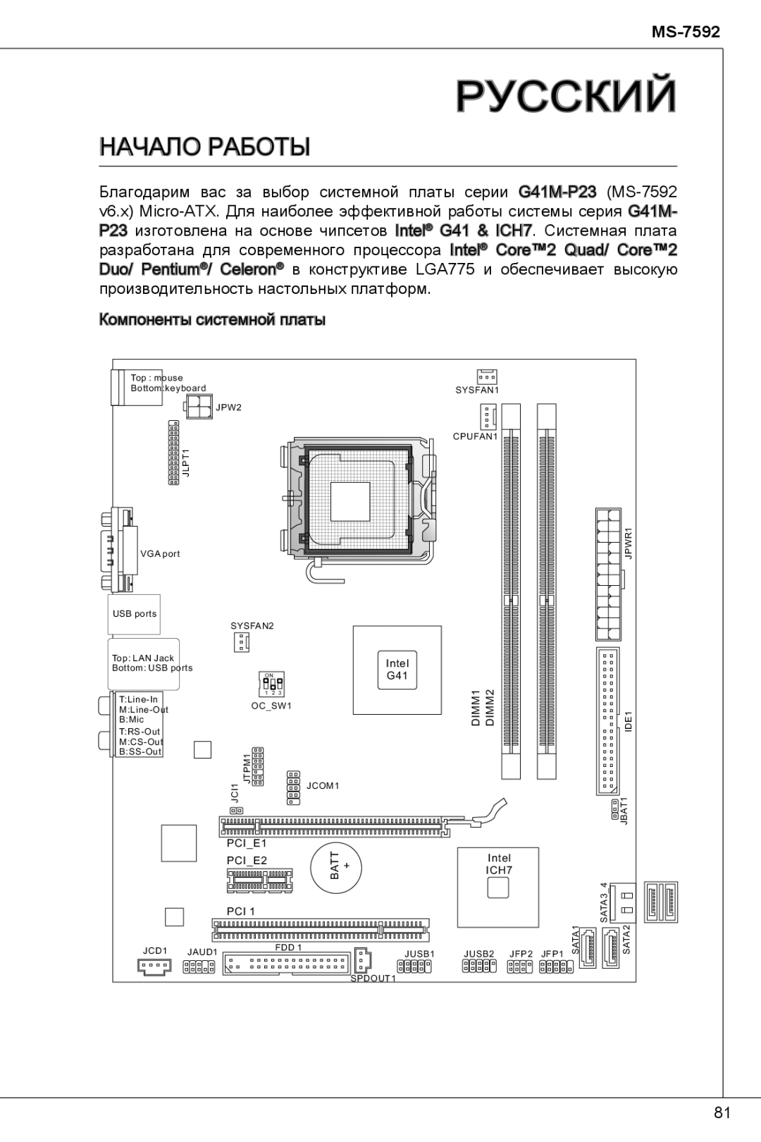 MSI G41M-P23 manual Русский 