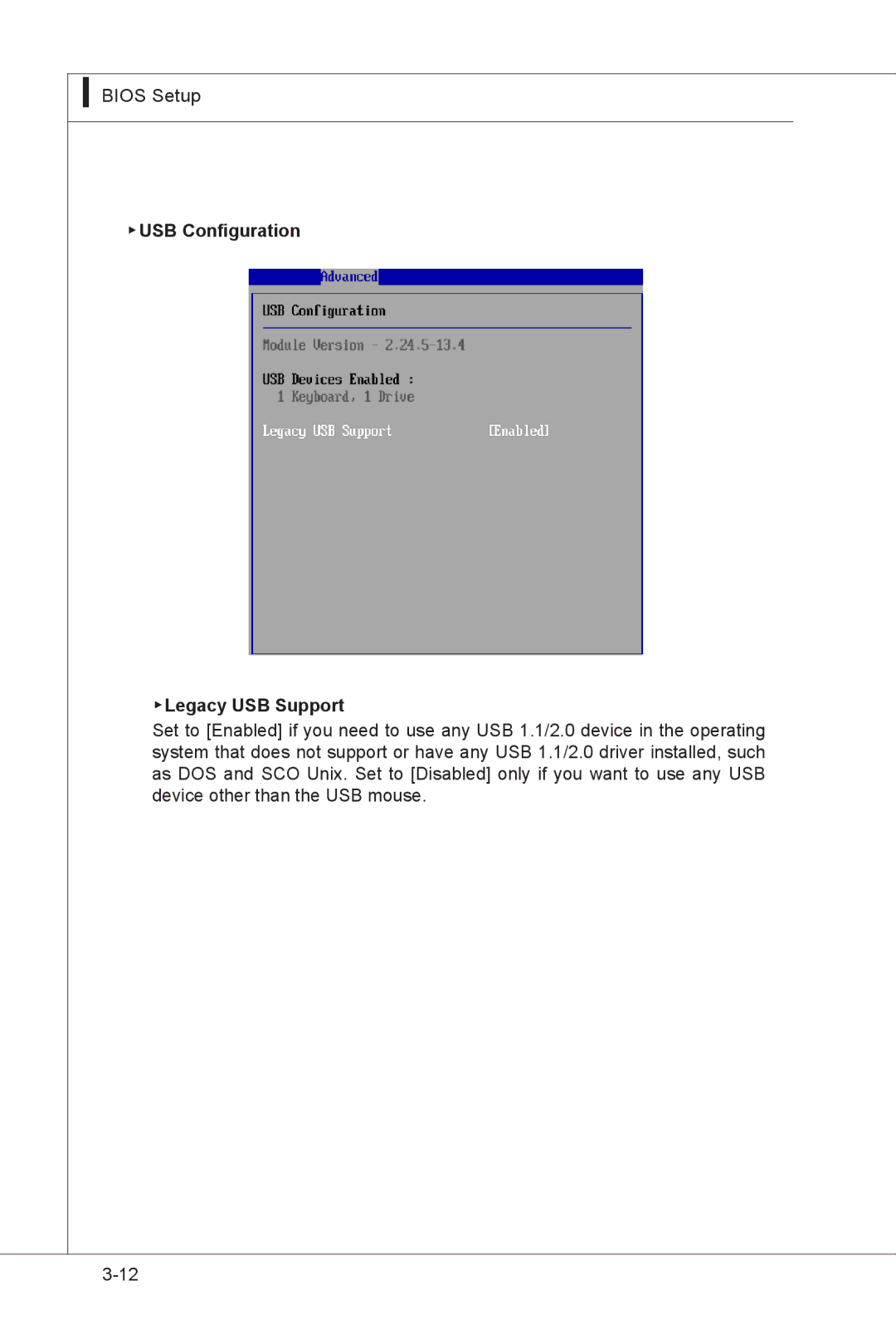 MSI MS-91F7 manual USB Configuration Legacy USB Support 