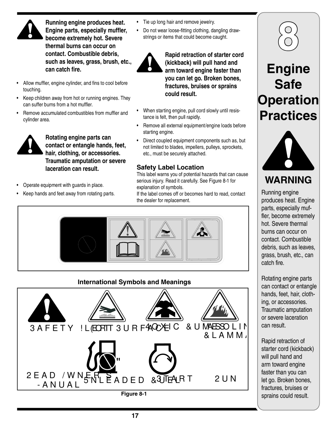 MTD 5DM warranty Safety Label Location, International Symbols and Meanings 