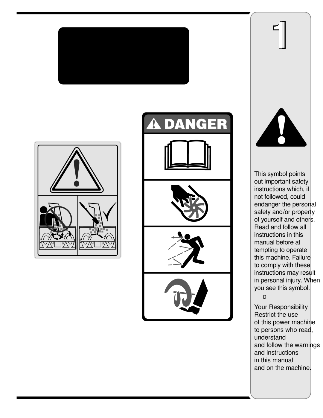 MTD S250, S261, S240, S230, S260 warranty Safety Labels 