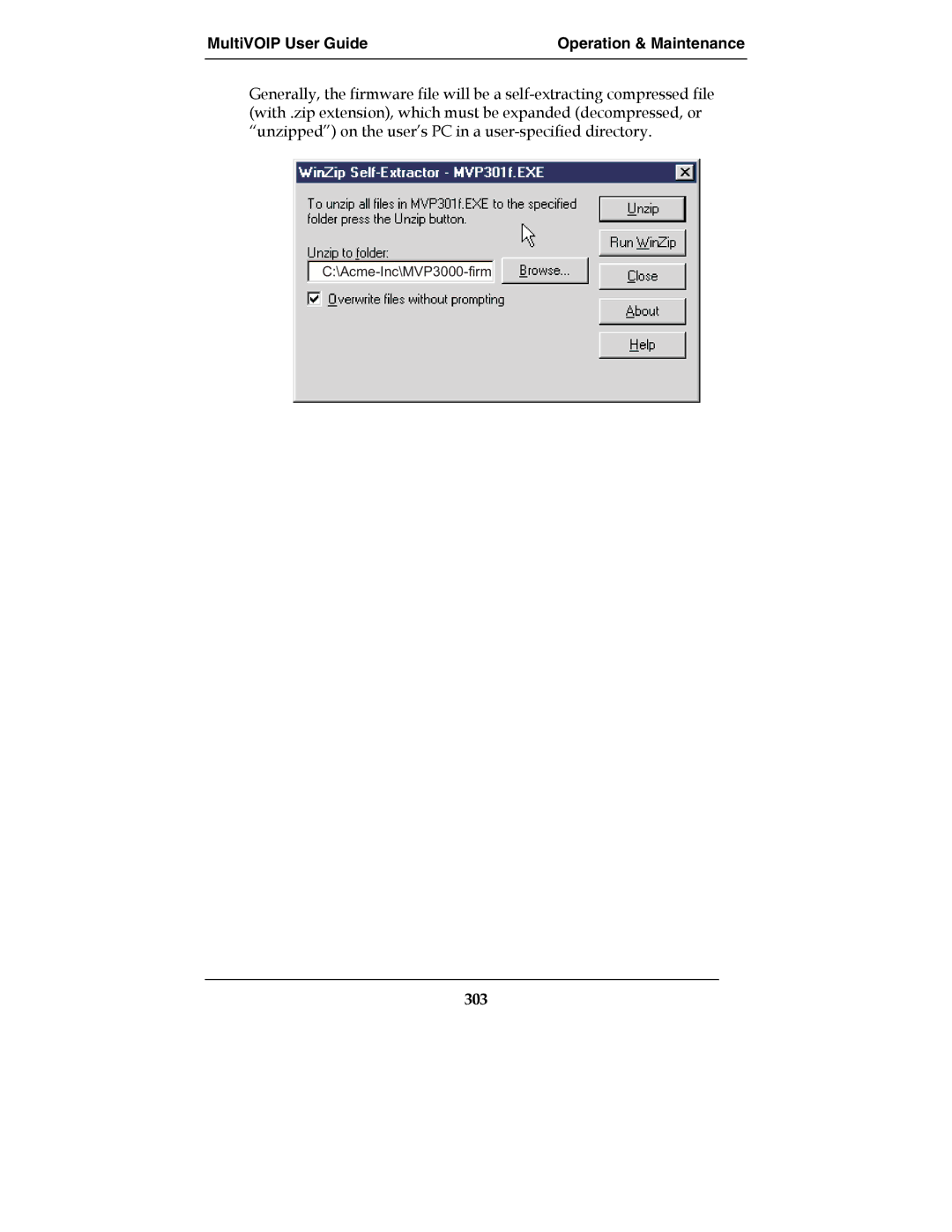 Multi-Tech Systems MultiVOIPTM, MVP-2410, MVP-3010, E1 manual 303 