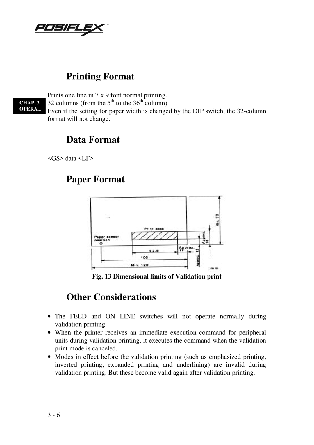 Mustek PP3000 manual Printing Format, Data Format, Paper Format, Other Considerations 