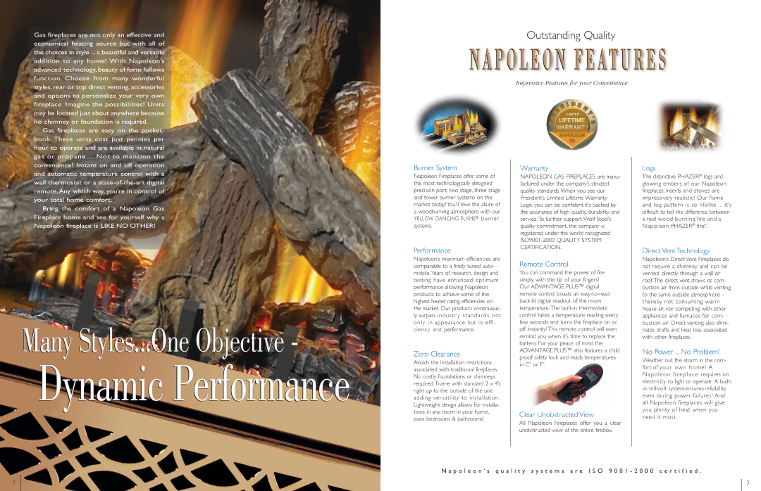 Napoleon Fireplaces BGD38NT, BGD42N manual Dynamic Performance 