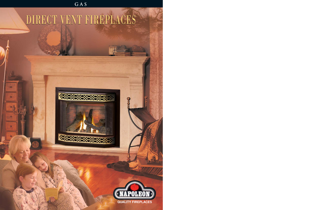 Napoleon Fireplaces BGD42N, BGD38NT manual Direct Vent Fireplaces, G A S, Quality Fireplaces 