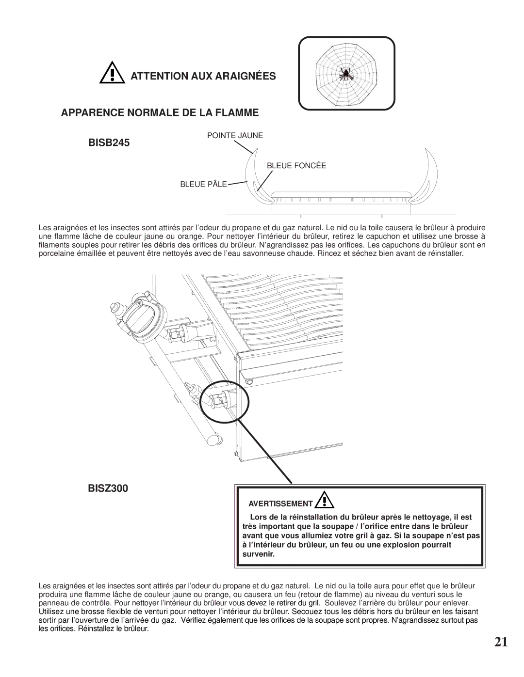 Napoleon Grills BISZ300 operating instructions Apparence Normale DE LA Flamme BISB245, Pointe Jaune Bleue Foncée Bleue Pâle 