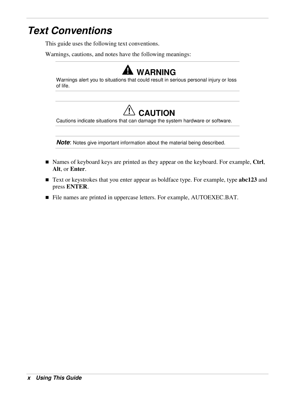 NEC 120Lg manual Text Conventions 