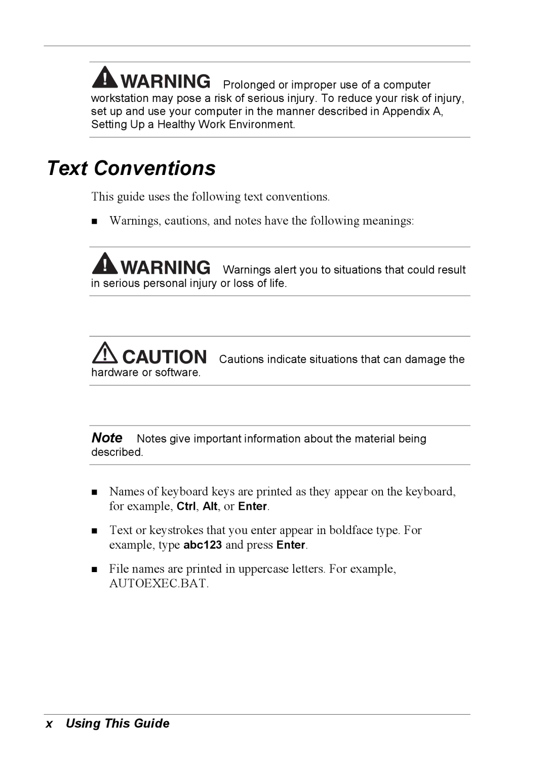 NEC 2000 manual Text Conventions 