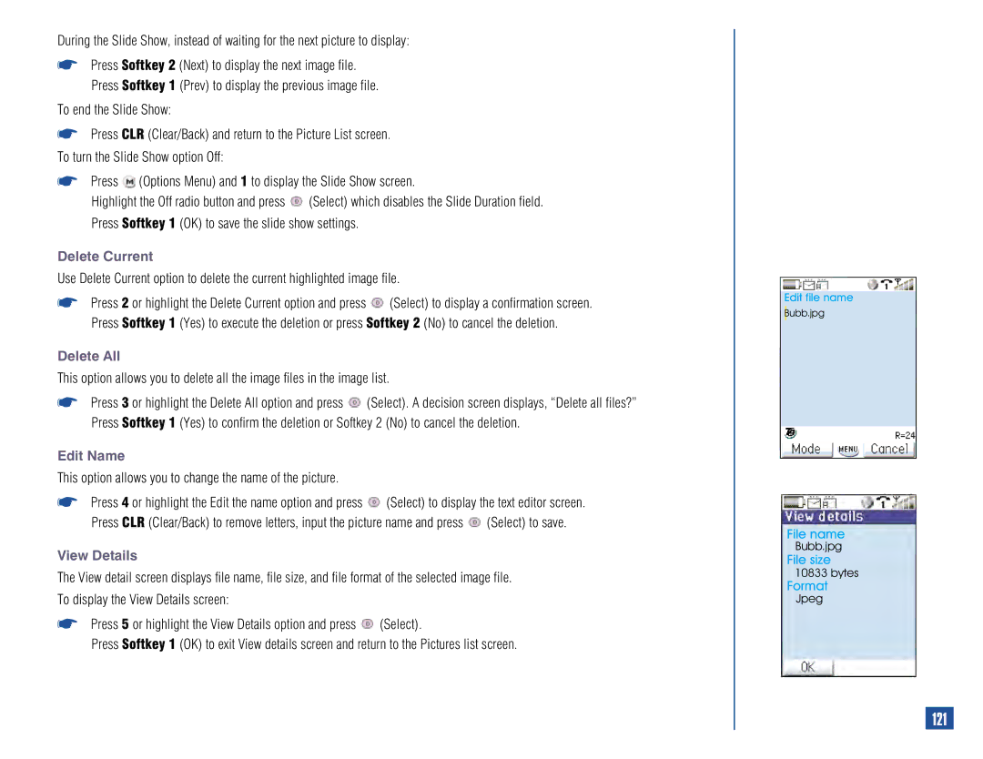 NEC 515 owner manual 121, This option allows you to change the name of the picture 