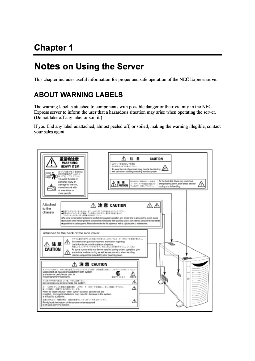 NEC 120Mf, 5800 manual Chapter, Notes on Using the Server, About Warning Labels 