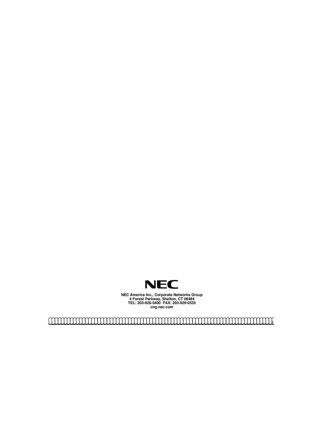 NEC DS1000/2000 manual 