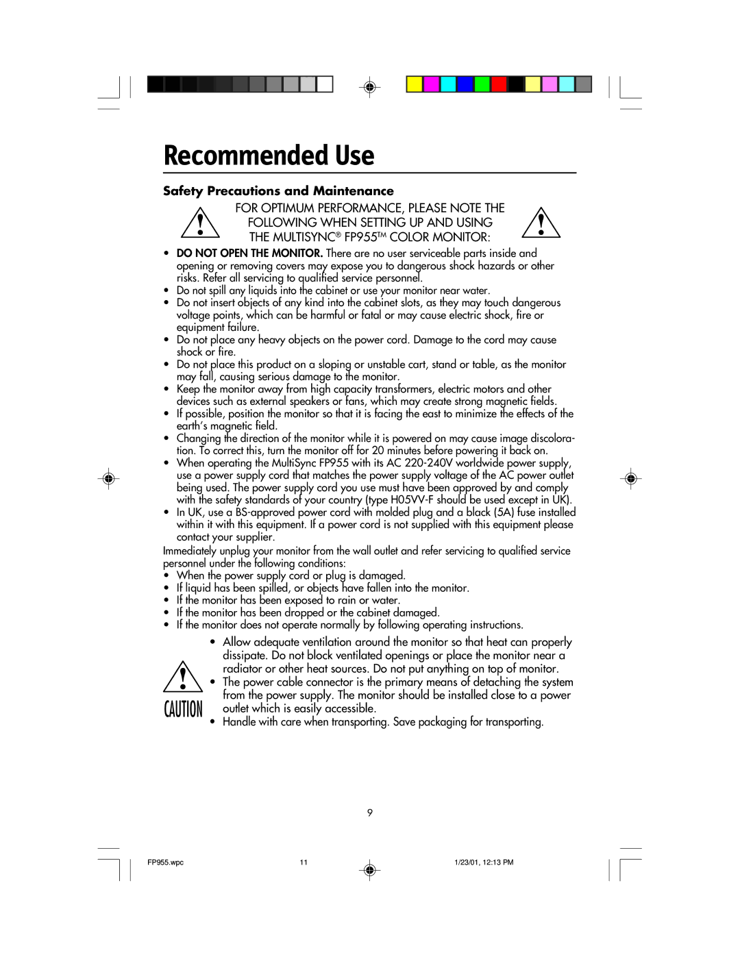 NEC FP955 user manual Recommended Use, Safety Precautions and Maintenance 