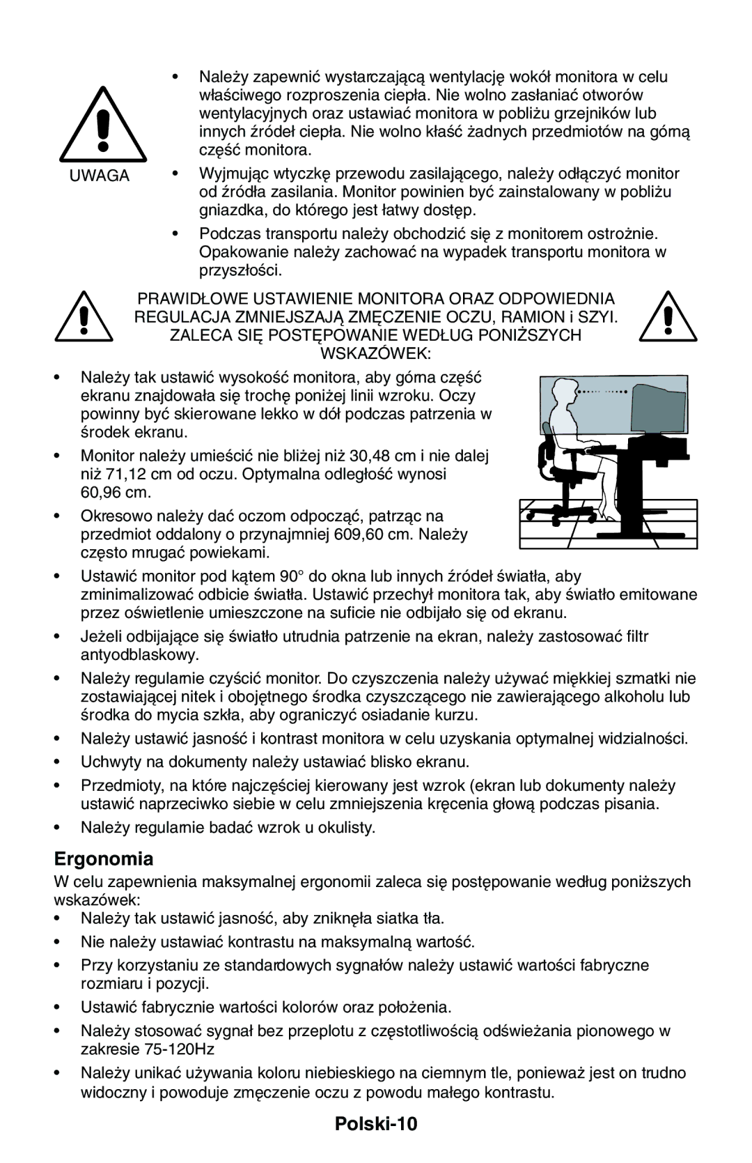 NEC LCD1525M user manual Polski-10 