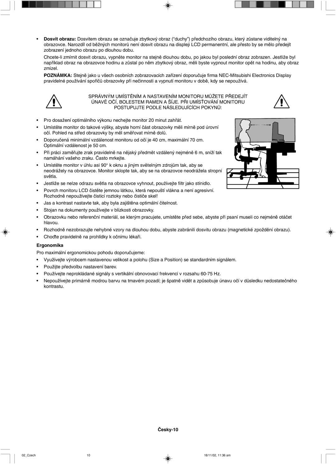 NEC LCD1560NX user manual Âesky-10 