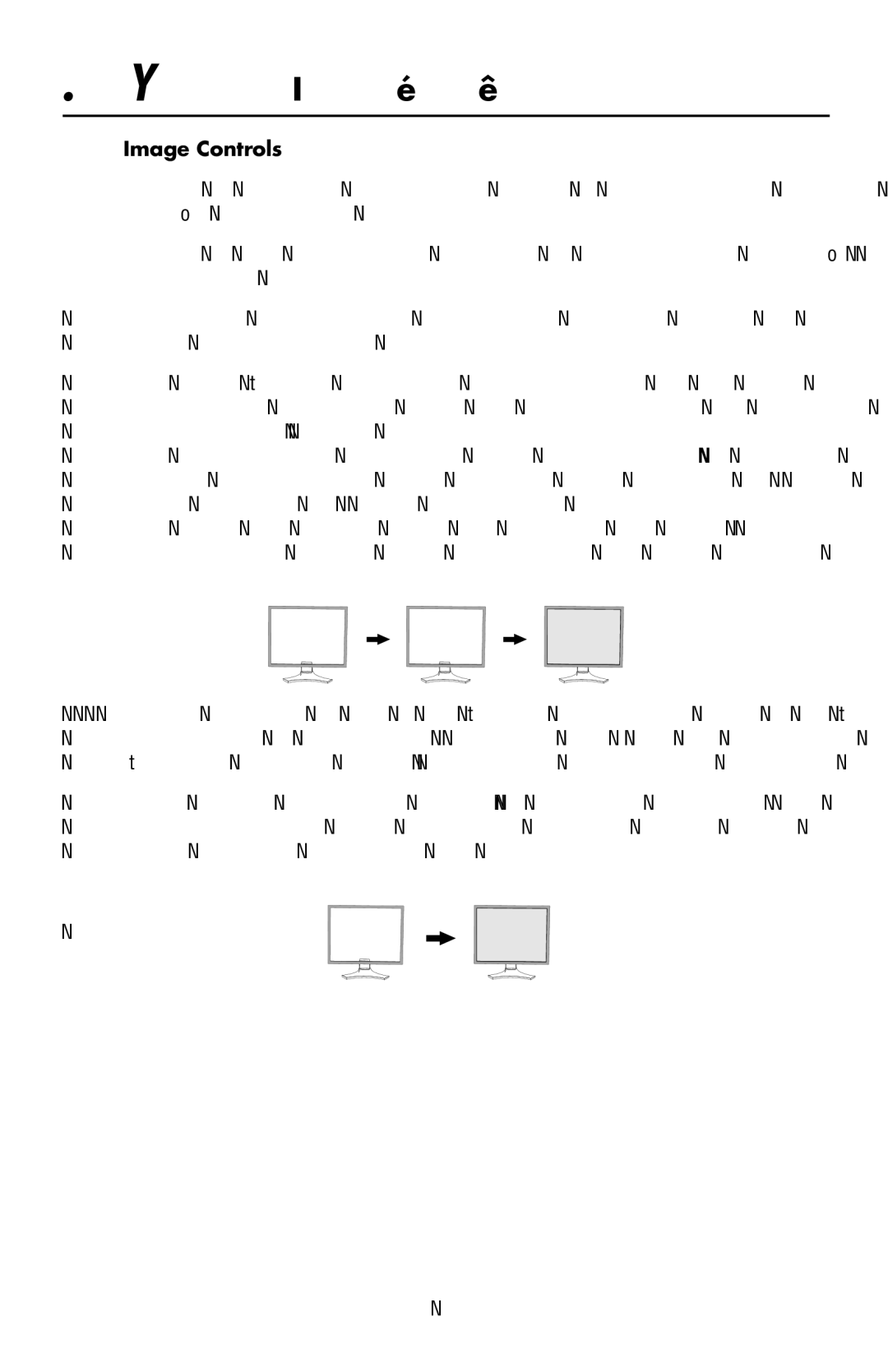 NEC LCD1990FXTM user manual Image Controls 