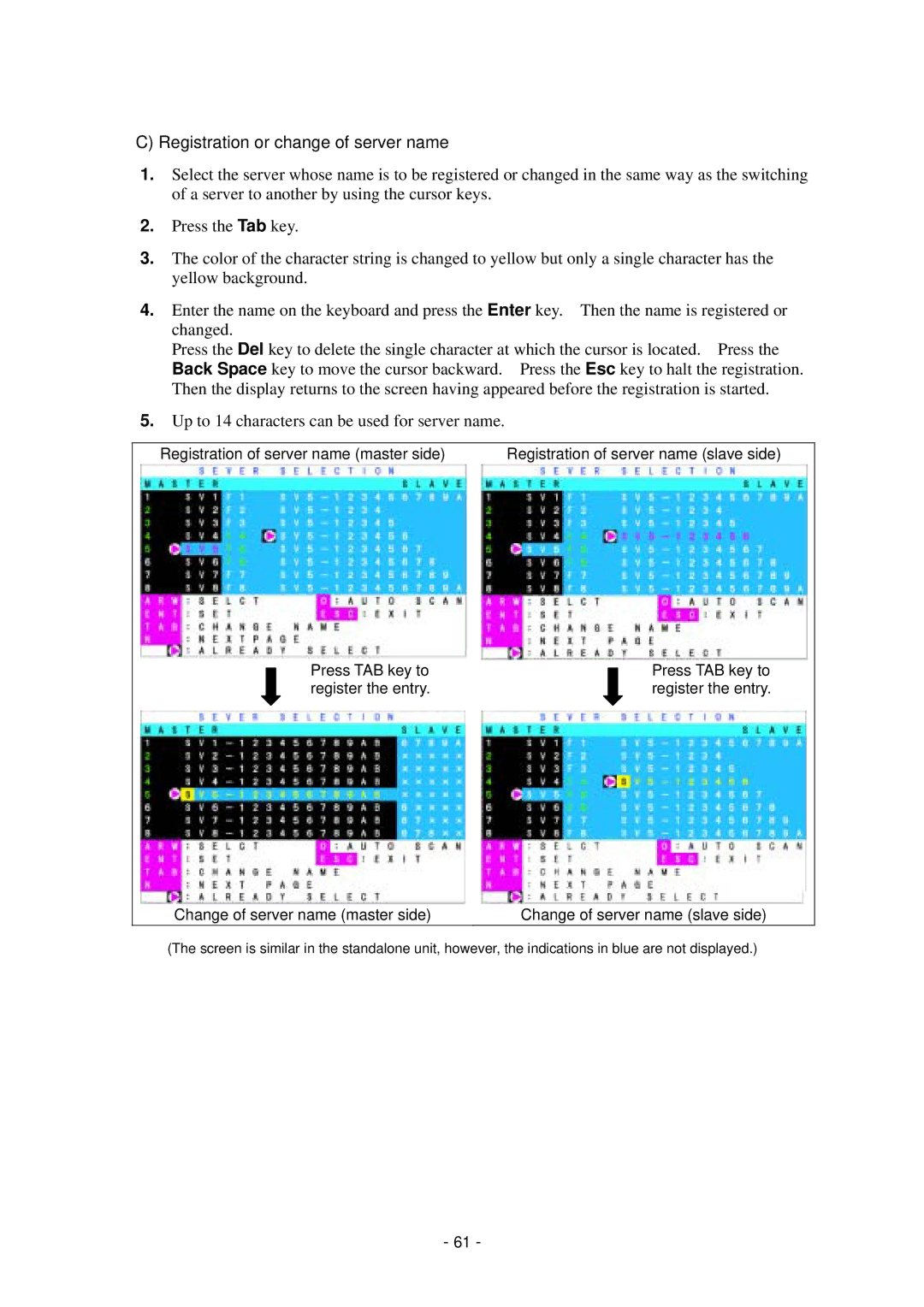 NEC N8191-09 manual Registration or change of server name 