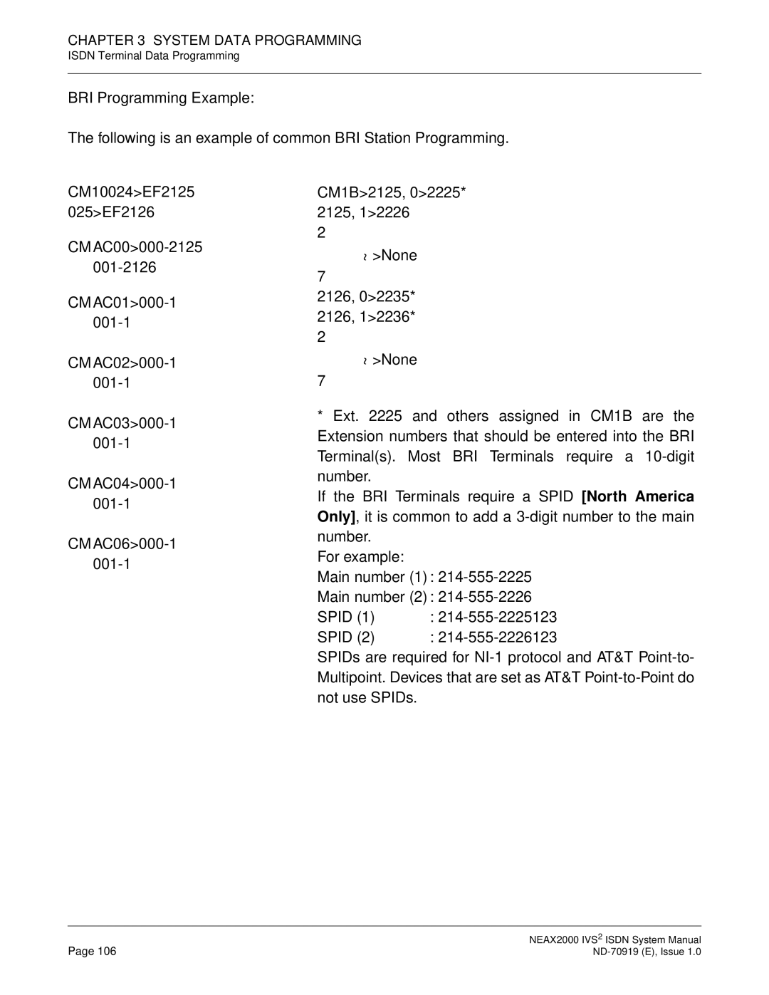 NEC ND-70919 system manual System Data Programming 