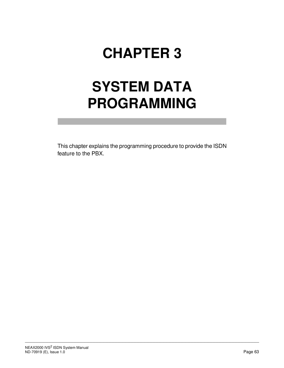 NEC ND-70919 system manual Chapter System Data Programming 