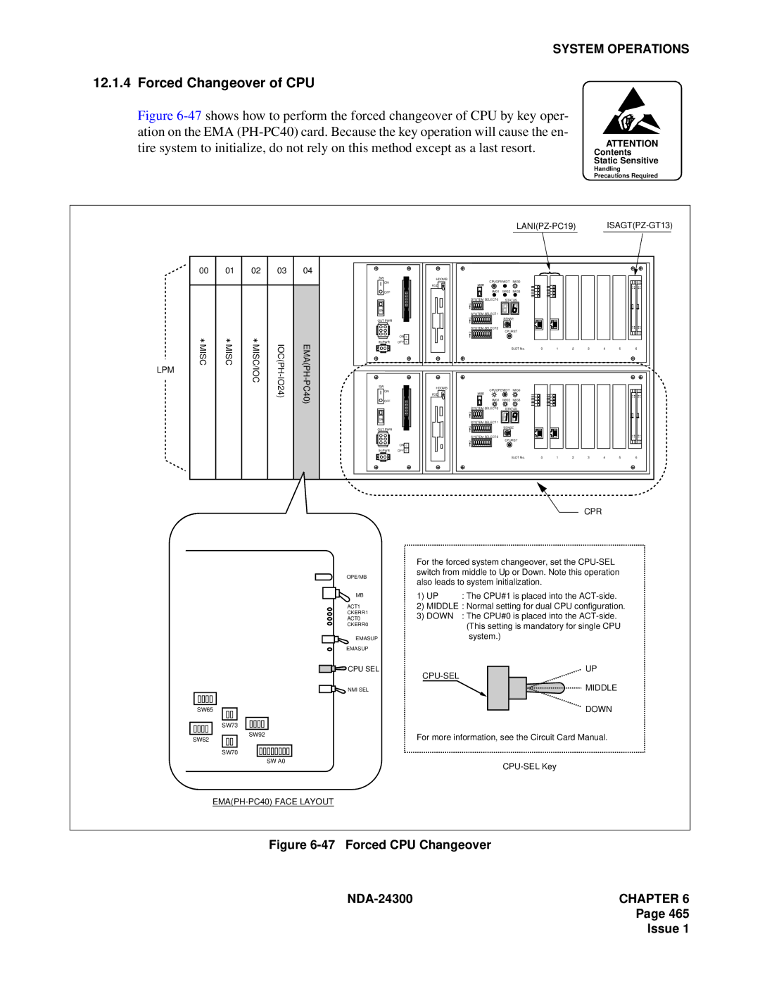 NEC NDA-24300 manual Forced Changeover of CPU, LANIPZ-PC19 ISAGTPZ-GT13 
