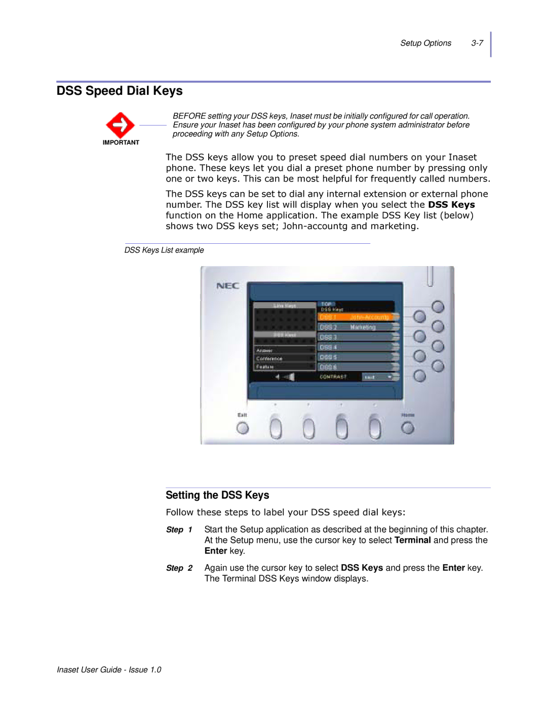 NEC NEAX 2000 IPS manual DSS Speed Dial Keys, Setting the DSS Keys, ROORZWKHVHVWHSVWRODEHO\RXU66VSHHGGLDONH\V 