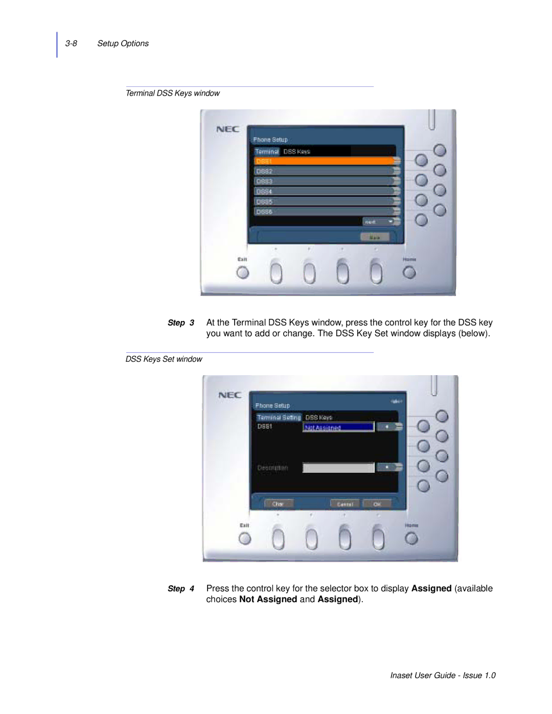 NEC NEAX 2000 IPS manual Setup Options Terminal DSS Keys window 