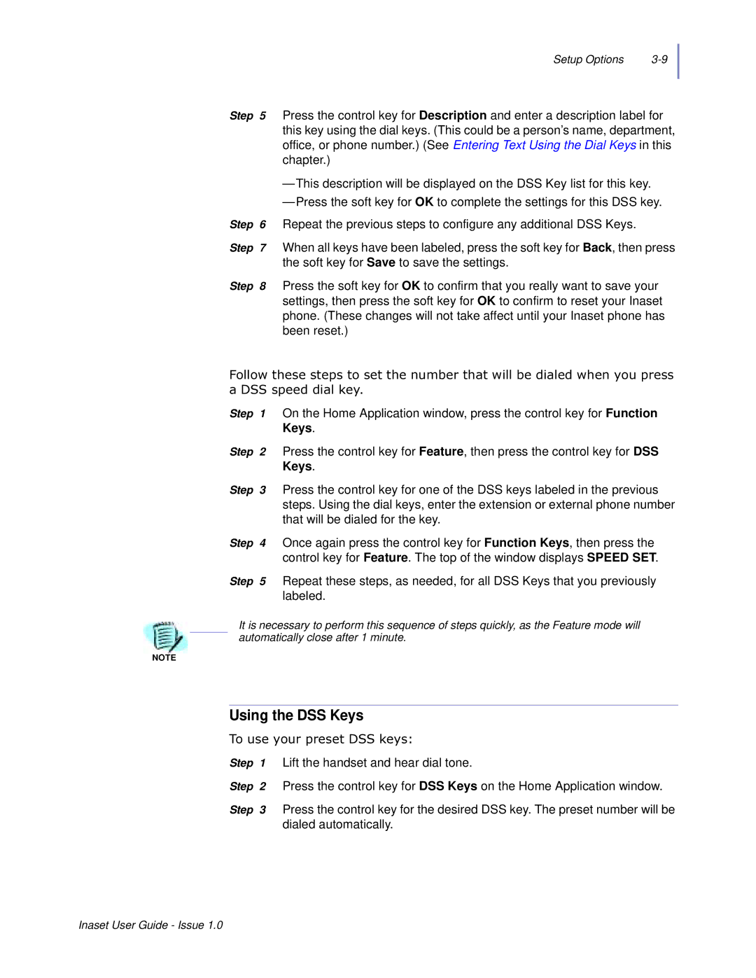 NEC NEAX 2000 IPS manual Using the DSS Keys, 7RXVH\RXUSUHVHW66NH\V 