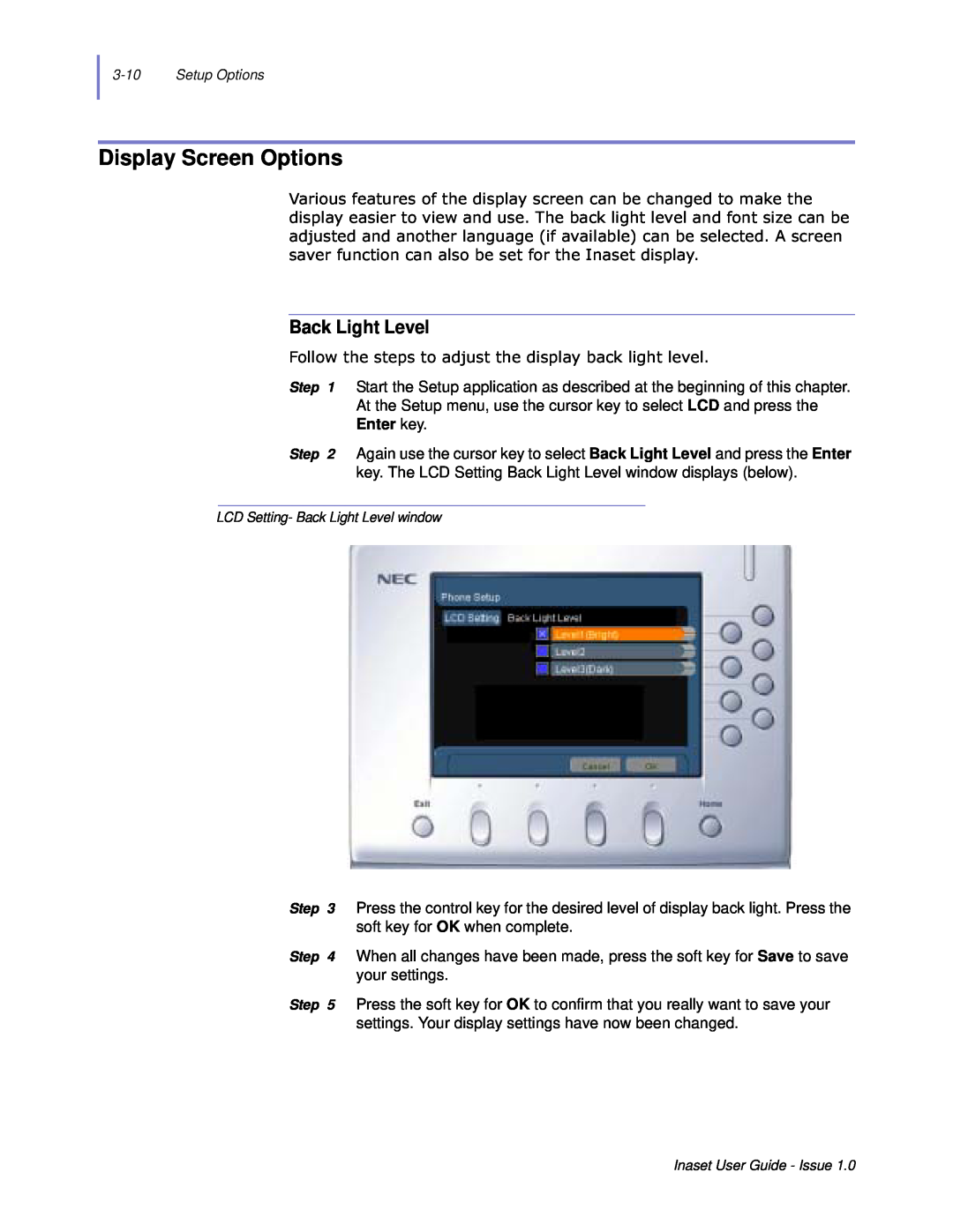 NEC NEAX 2000 IPS manual Display Screen Options, Back Light Level, Enter key 