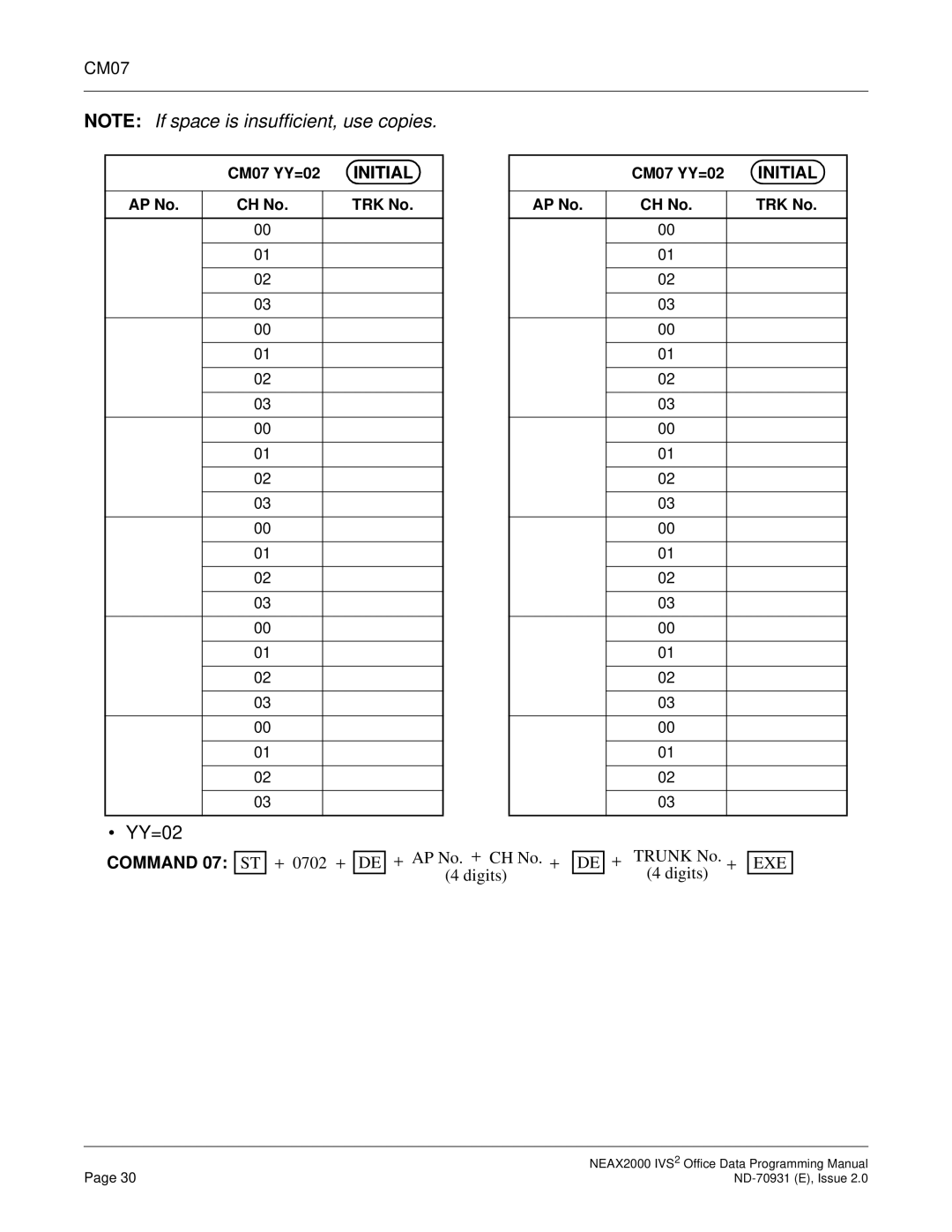 NEC NEAX2000 IVS2 manual YY=02, Command 