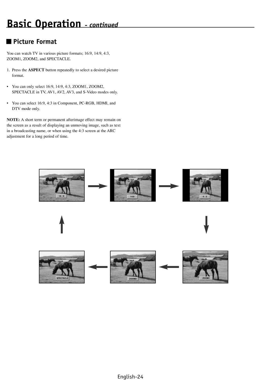 NEC PV32, PV40, PV46 user manual Picture Format 