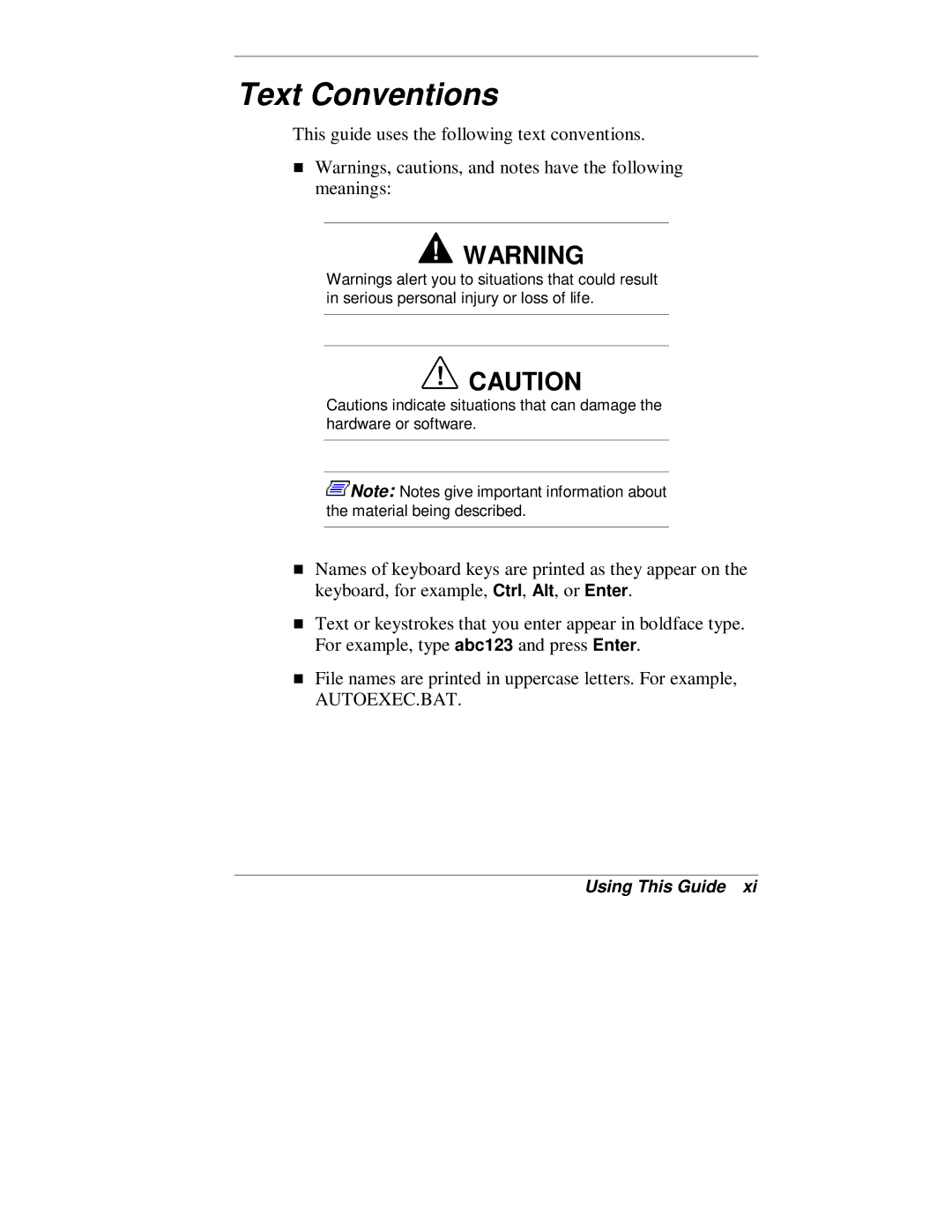 NEC VT 300 Series manual Text Conventions 