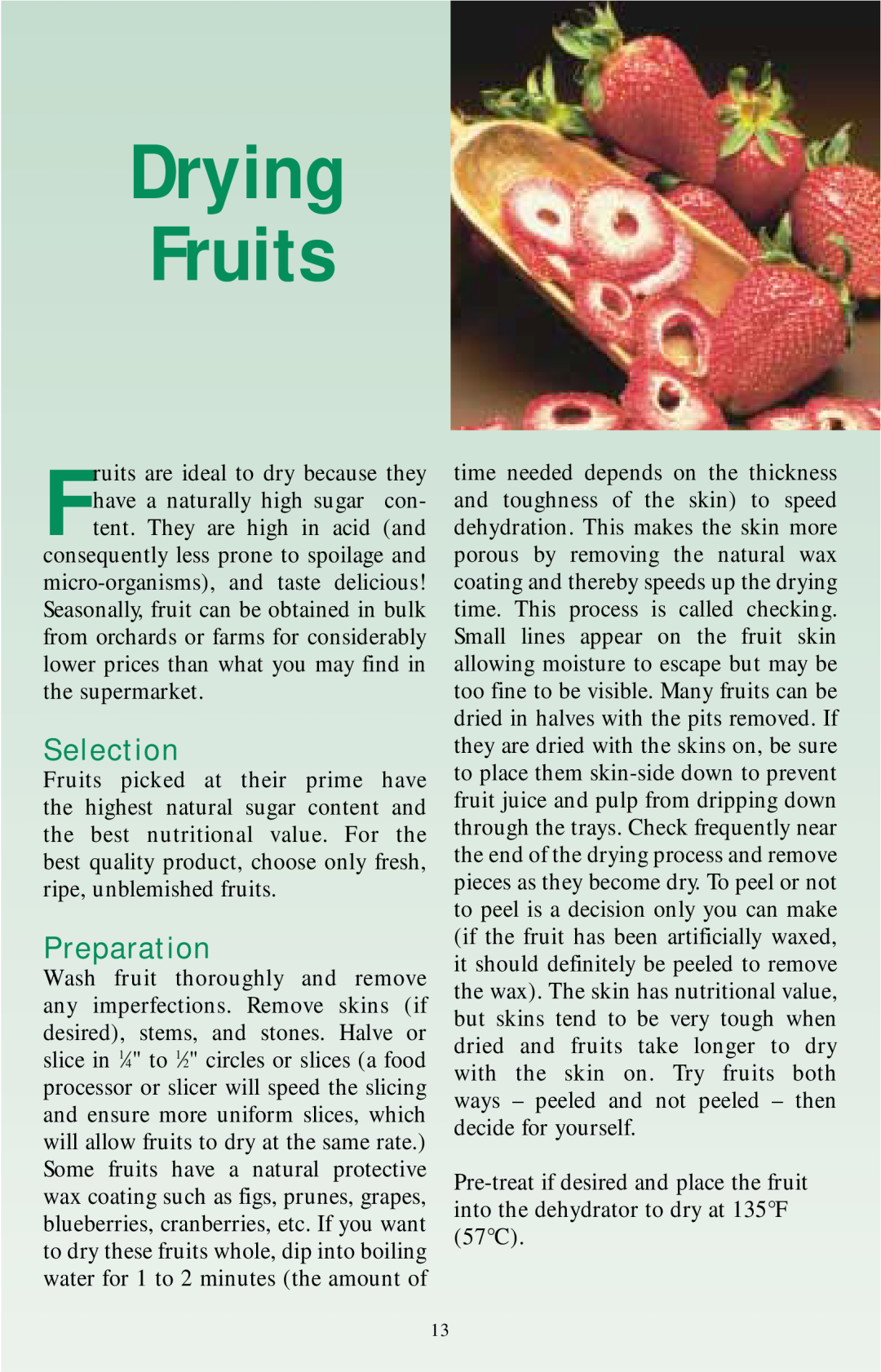 Nesco Food Dehydrator manual Drying Fruits, Selection, Preparation 