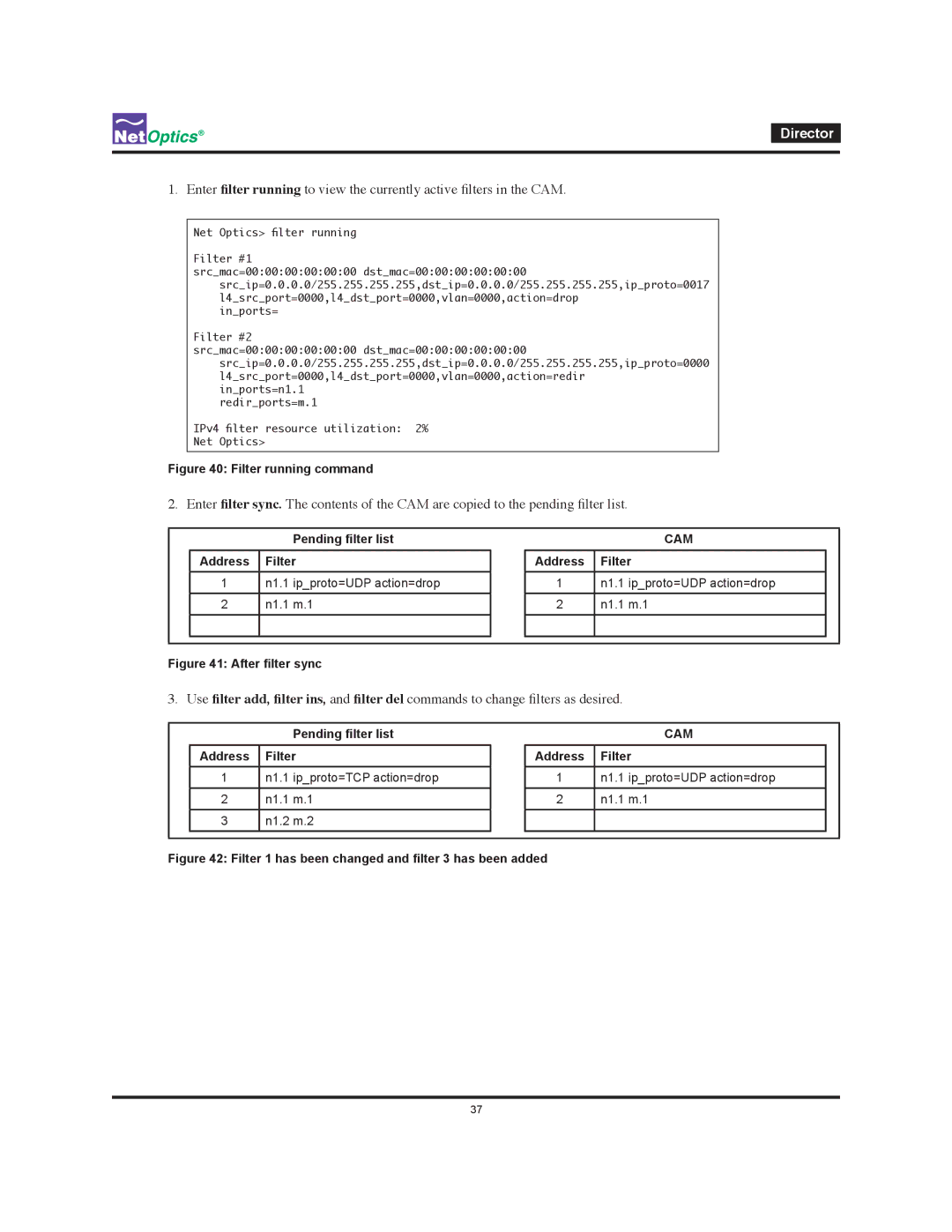 Net Optics Director manual Filter running command 