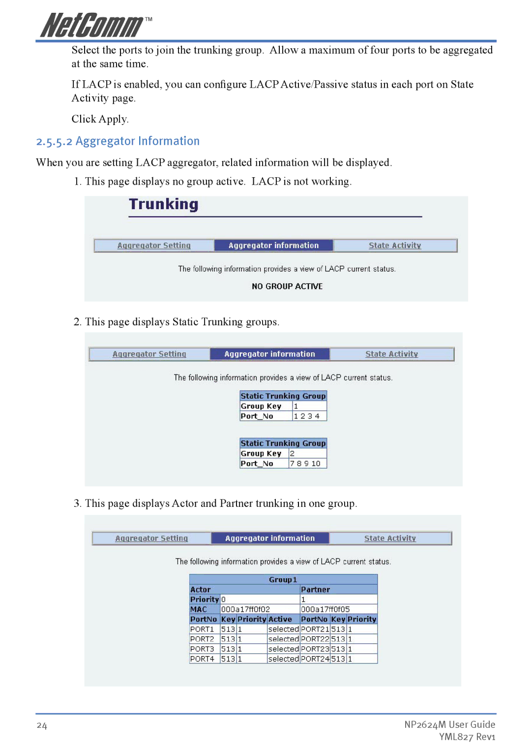 NetComm NP2624M manual Aggregator Information 