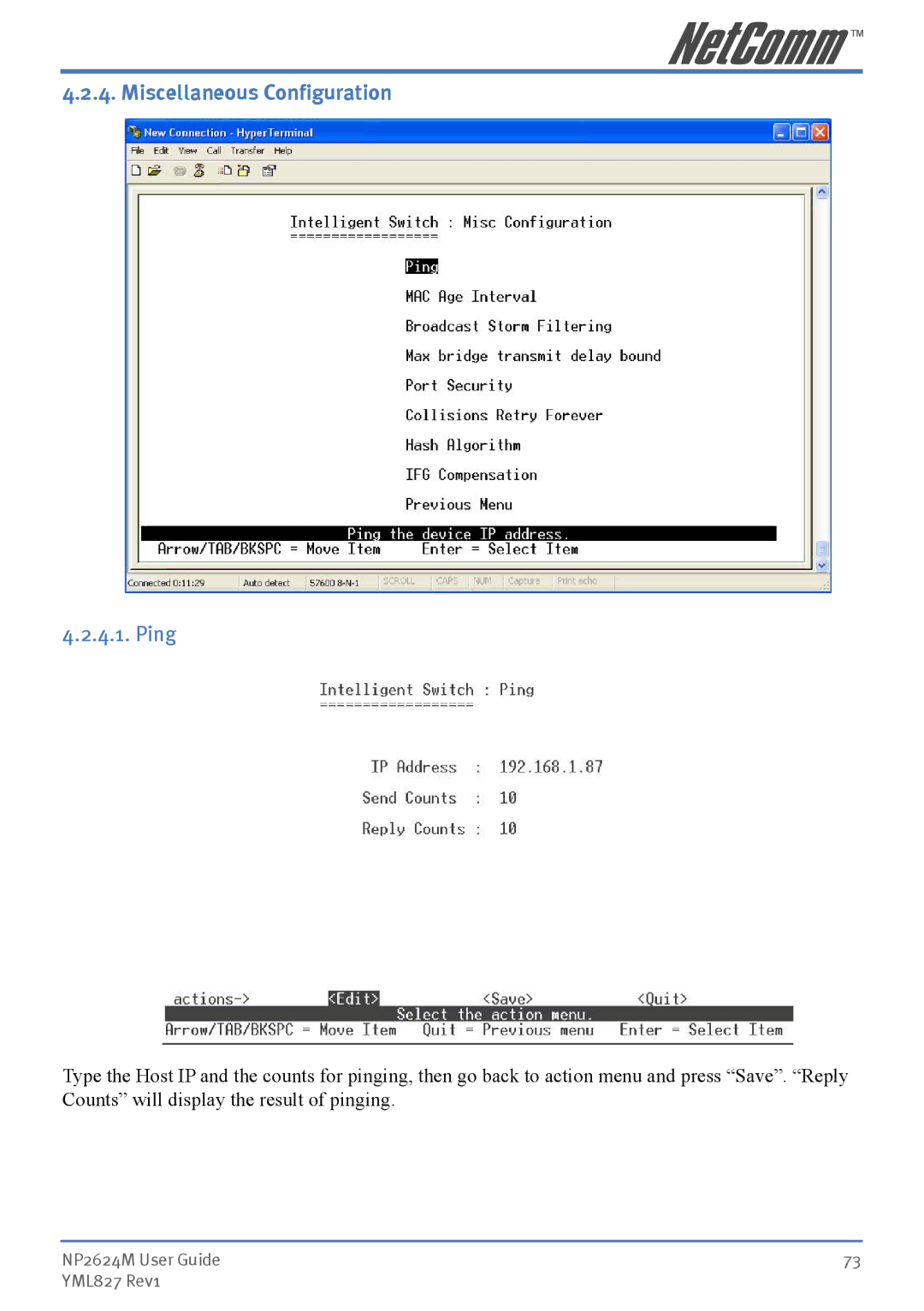 NetComm NP2624M manual Miscellaneous Configuration, Ping 