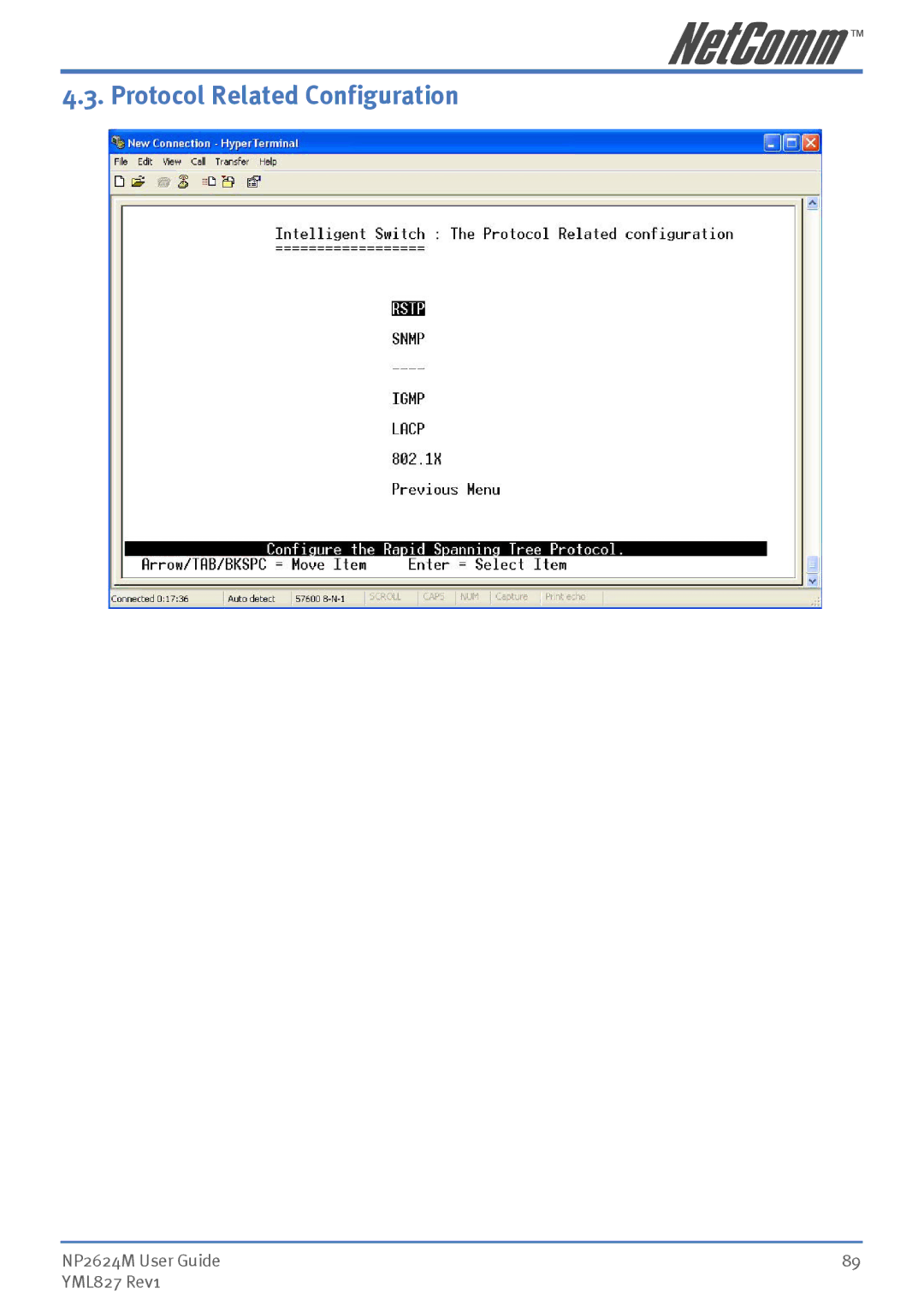 NetComm NP2624M manual Protocol Related Configuration 