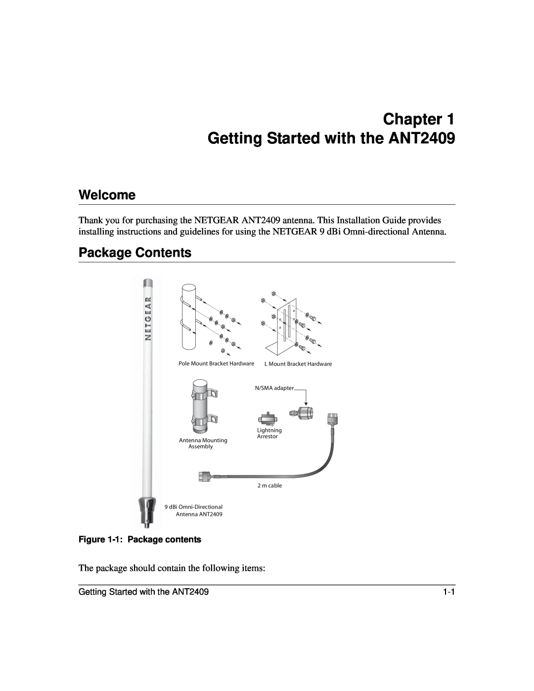 NETGEAR manual Chapter Getting Started with the ANT2409, Welcome, Package Contents 