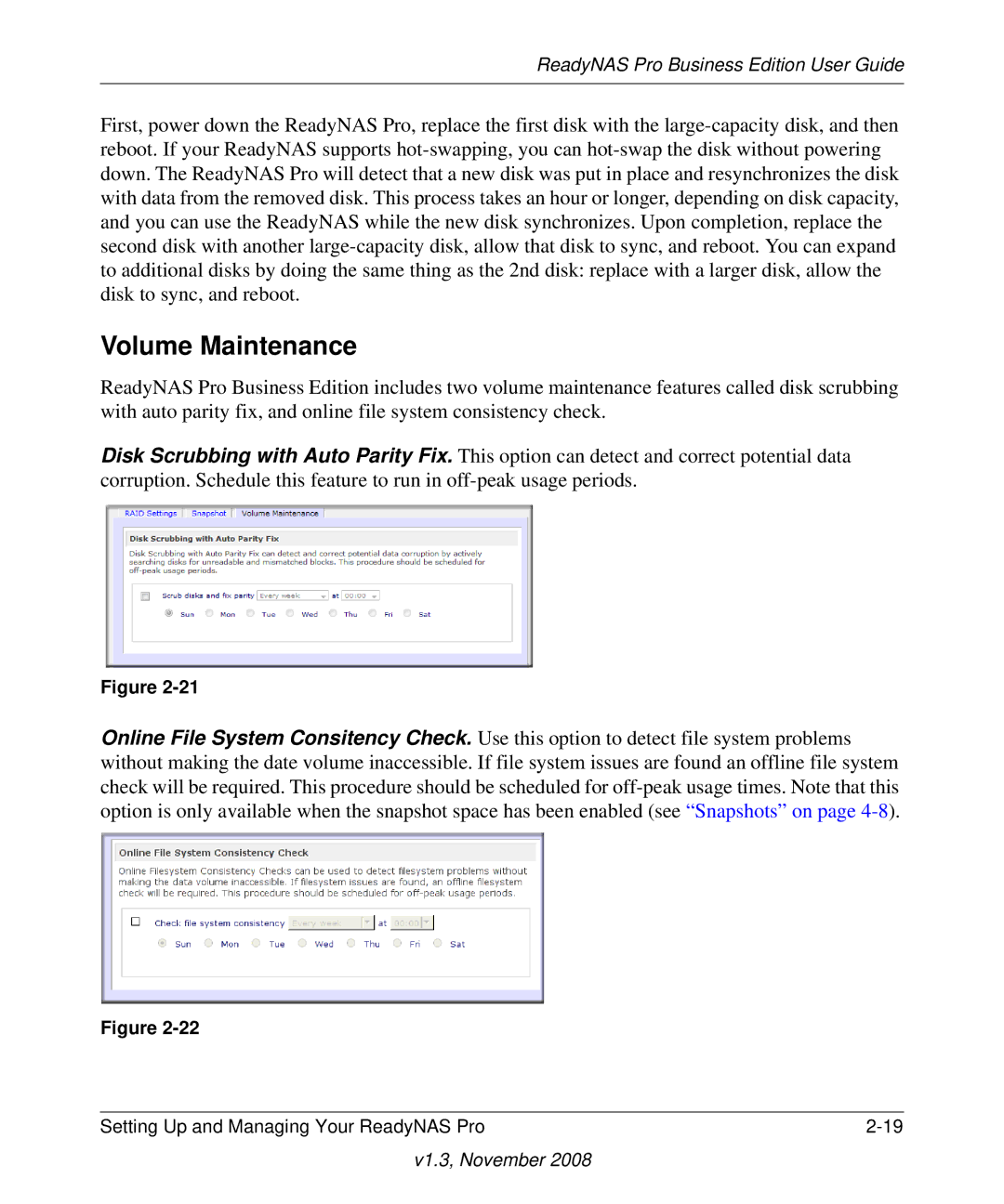 NETGEAR Business Edition manual Volume Maintenance 