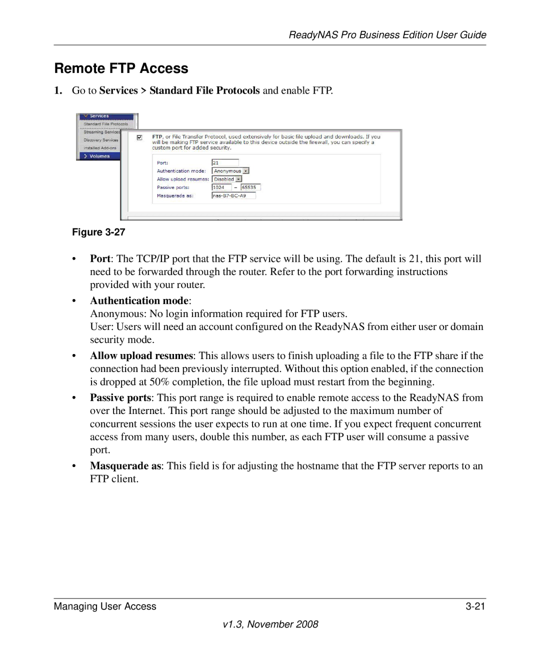 NETGEAR Business Edition manual Remote FTP Access, Go to Services Standard File Protocols and enable FTP 