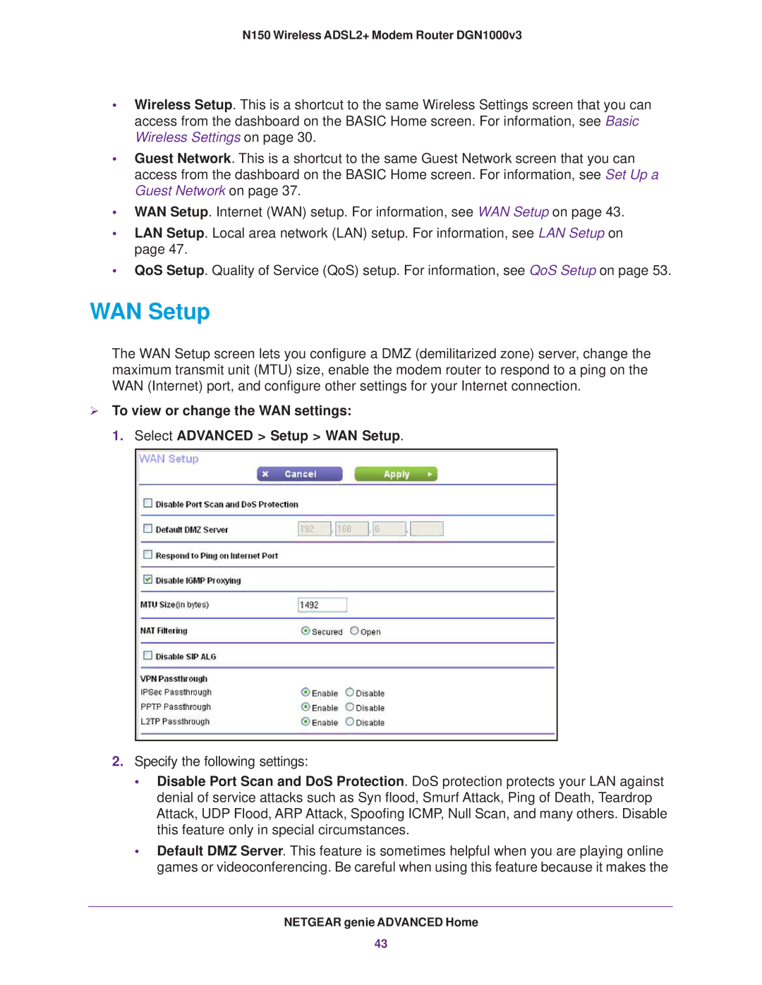 NETGEAR DGN1000v3 user manual WAN Setup 