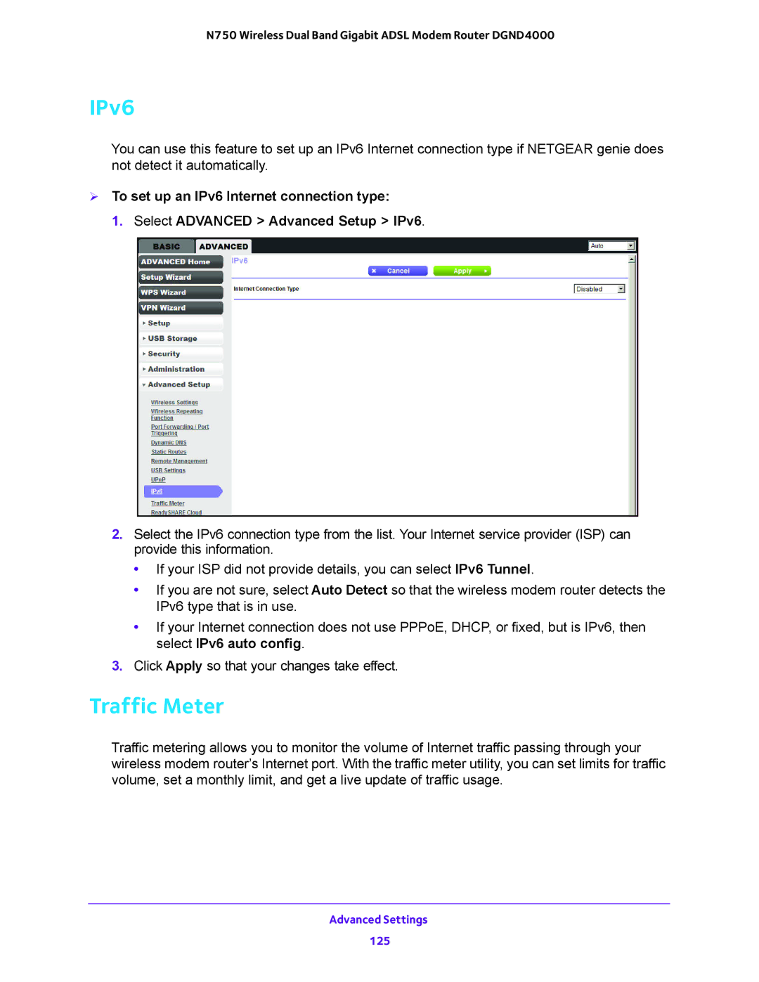 NETGEAR DGND4000 user manual IPv6, Traffic Meter 