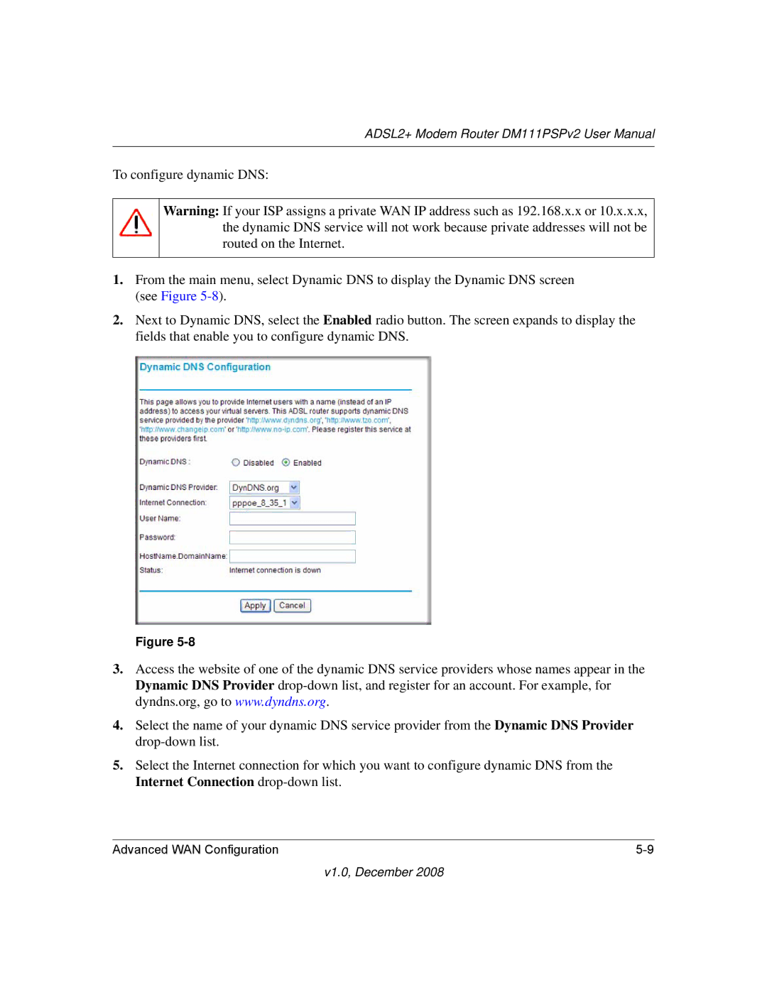 NETGEAR DM111PSPv2 user manual V1.0, December 