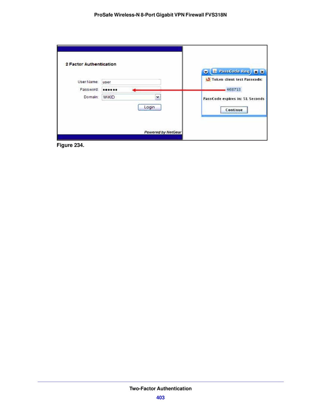 NETGEAR FVS318N manual 403 