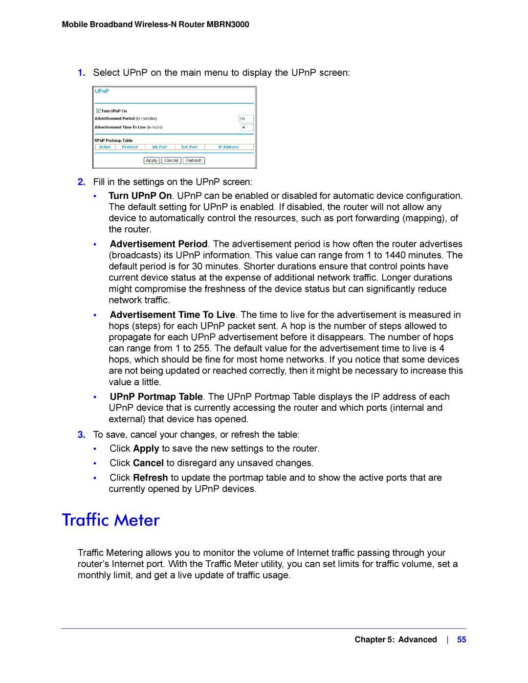 NETGEAR MBRN3000-100NAS user manual Traffic Meter 