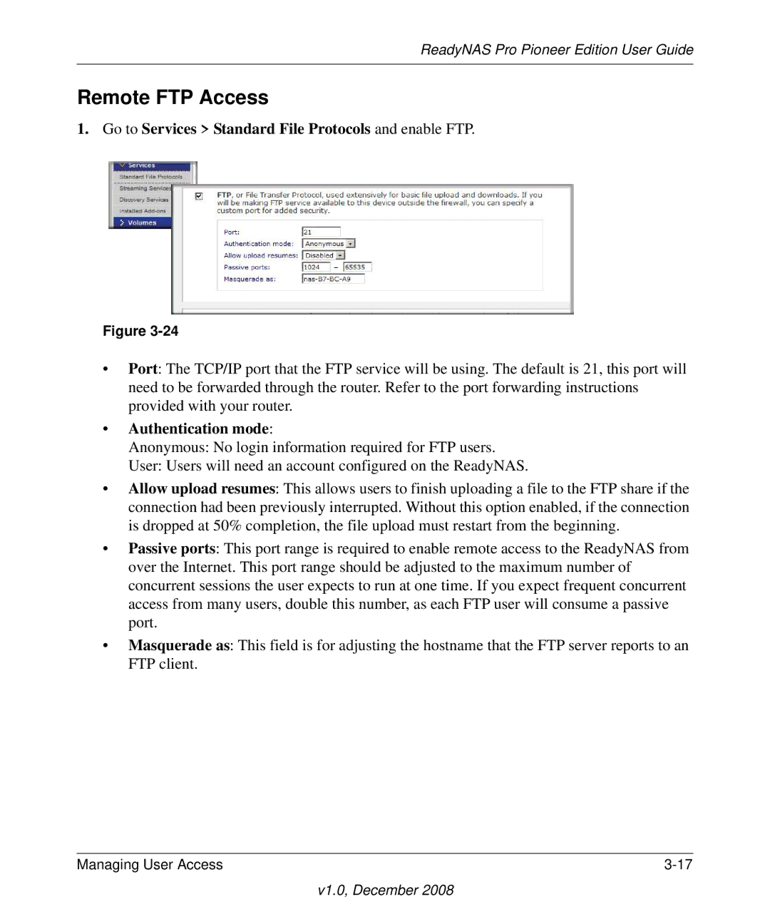 NETGEAR Pioneer Edition manual Remote FTP Access, Go to Services Standard File Protocols and enable FTP 