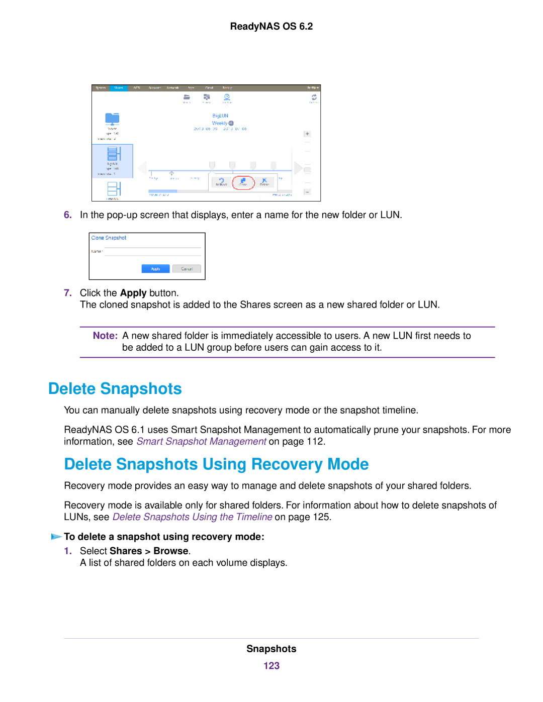 NETGEAR READYNAS 316, READYNAS 716X, READYNAS 4220, READYNAS 516, READYNAS 2120 Delete Snapshots Using Recovery Mode, 123 