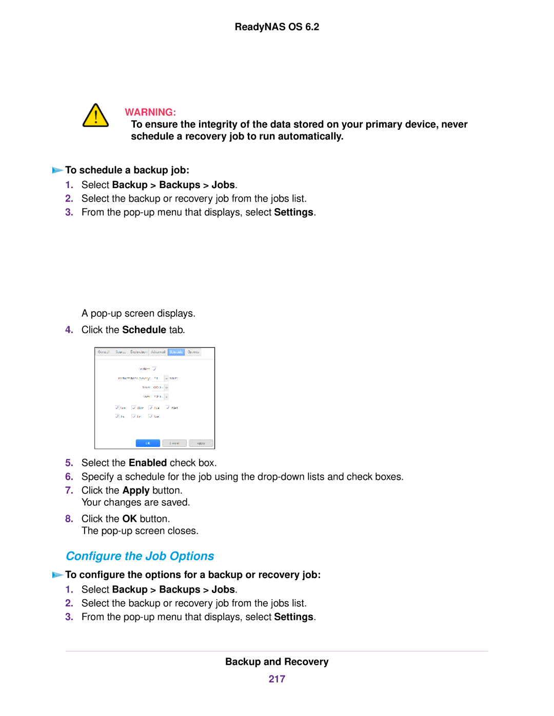 NETGEAR READYNAS 4220, READYNAS 716X, READYNAS 516, READYNAS 316, READYNAS 2120, READYNAS 312 Configure the Job Options, 217 